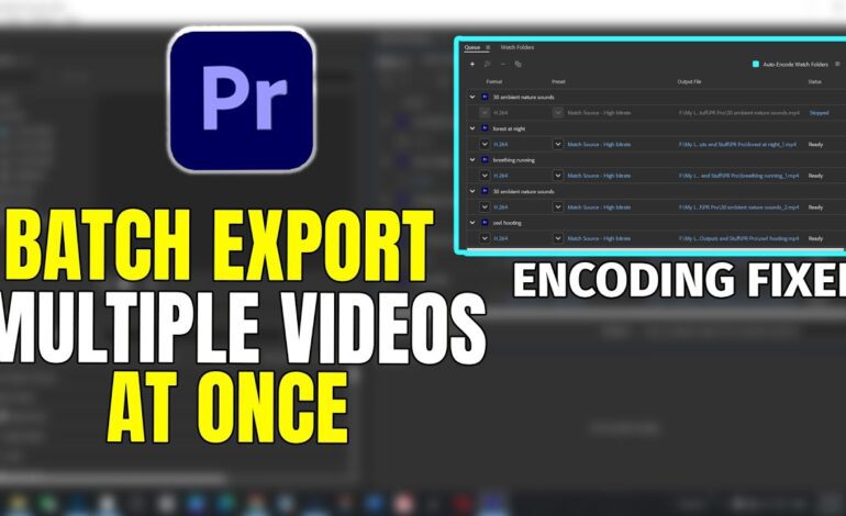  Batch Editing: Processing Multiple Videos Quickly
